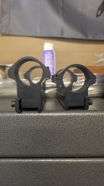 PXL_20251004_173417298.jpg