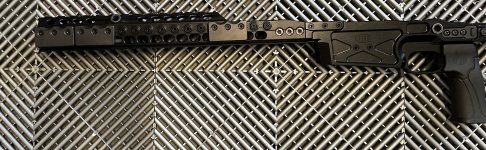 IMG_7187.jpeg