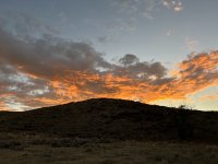 IMG_2816.jpeg