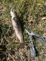 IMG_2819.jpeg