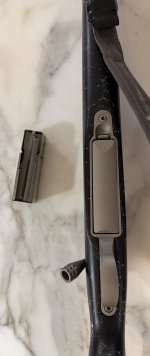 IMG_4986.jpeg
