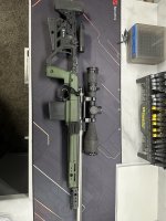 IMG_5054.jpeg