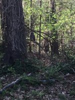 IMG_0794.jpeg
