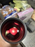 IMG_8682.jpeg