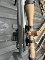 IMG_4971.jpeg