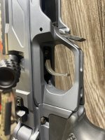 IMG_1487.jpeg