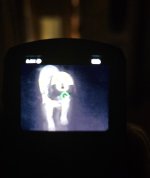 20251005_212040.jpg
