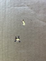 IMG_4679.jpeg