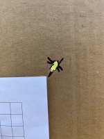 IMG_4682.jpeg