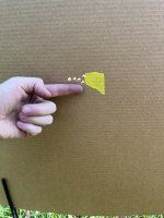 IMG_4684.jpeg