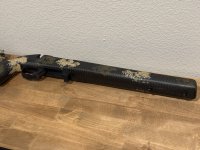 IMG_1231.jpeg