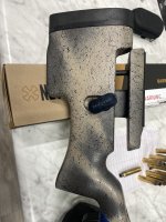 IMG_6875.jpeg