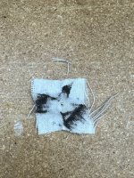 IMG_4284.jpeg