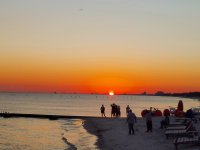 IMG_20251010_204253.jpg