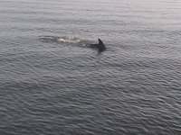 IMG_20251010_184734.jpg