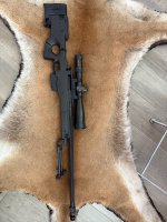 IMG_1773.jpeg