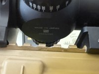 IMG_9597.jpeg