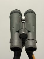 IMG_1543.jpeg