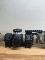 IMG_2625.jpeg