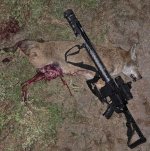Unfortunate yote.jpg