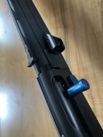 IMG_2953.jpeg