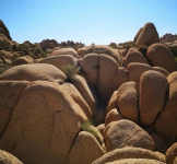 Rocks.png