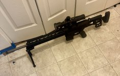 IMG_3779.jpeg