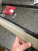 IMG_8736.jpeg