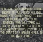 IMG_2065.jpeg