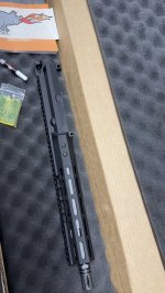 IMG_9880.jpeg