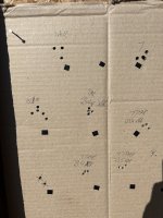 IMG_7991.jpeg