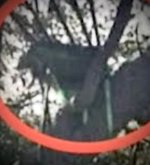 IMG_2213.jpeg