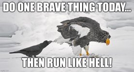 IMG_2215.jpeg