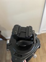 IMG_7525.jpeg