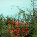 Ocab-20251019-105351-1200.jpg