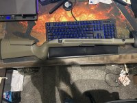 IMG_5284.jpeg