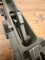 IMG_0135.jpeg