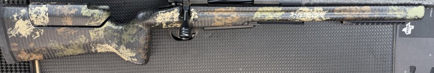 IMG_5516.jpeg