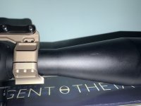 IMG_8983.jpeg