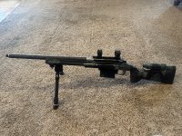 IMG_2513.jpeg