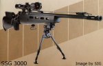 SSG rifle stock earlier German version ?.jpeg
