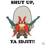 Yosemite Sam.jpg