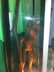 227414_209341135756084_3712311_n.jpg?oh=41cdeed0168b002983390ce49074a7a4&oe=594E8F63.jpg