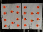 IMG_20190324_154231.jpg