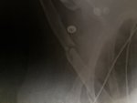 20190403_165825.jpg