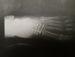 20190403_165737.jpg