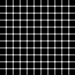 scintillatinggridillusion2010G50Ls.jpg