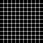 scintillatinggridillusion2010G50Ls.jpg