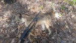 20170414_114554.jpg 20170414_114554.jpg