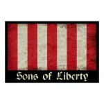 sons_of_liberty_flag_poster-r64d35b66d4d84509b9253338cc59e3a6_a6a44_8byvr_512.jpg